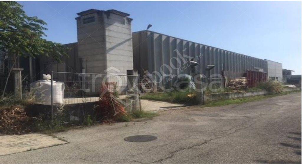 immagine annuncio 3 di 11