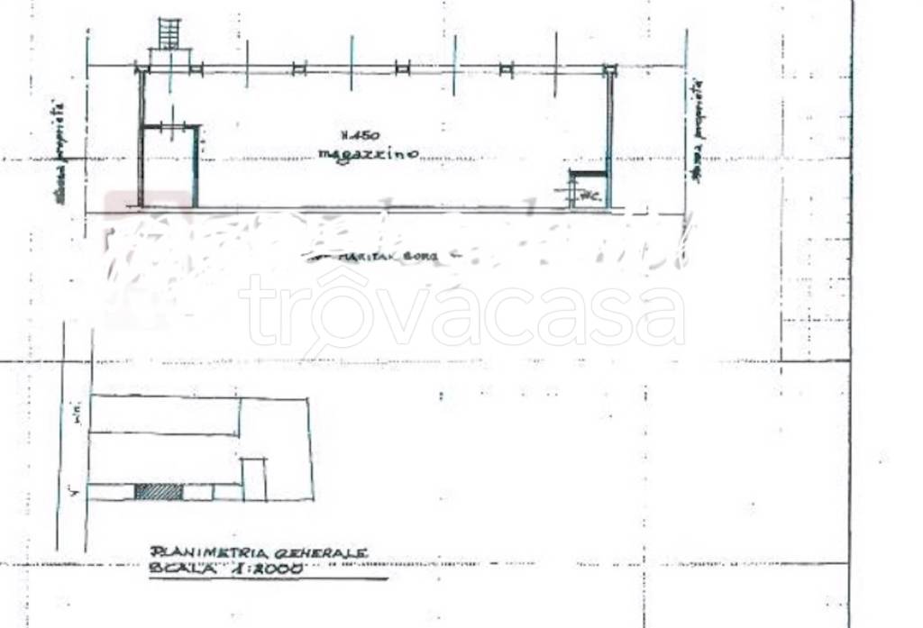 immagine annuncio 4 di 12