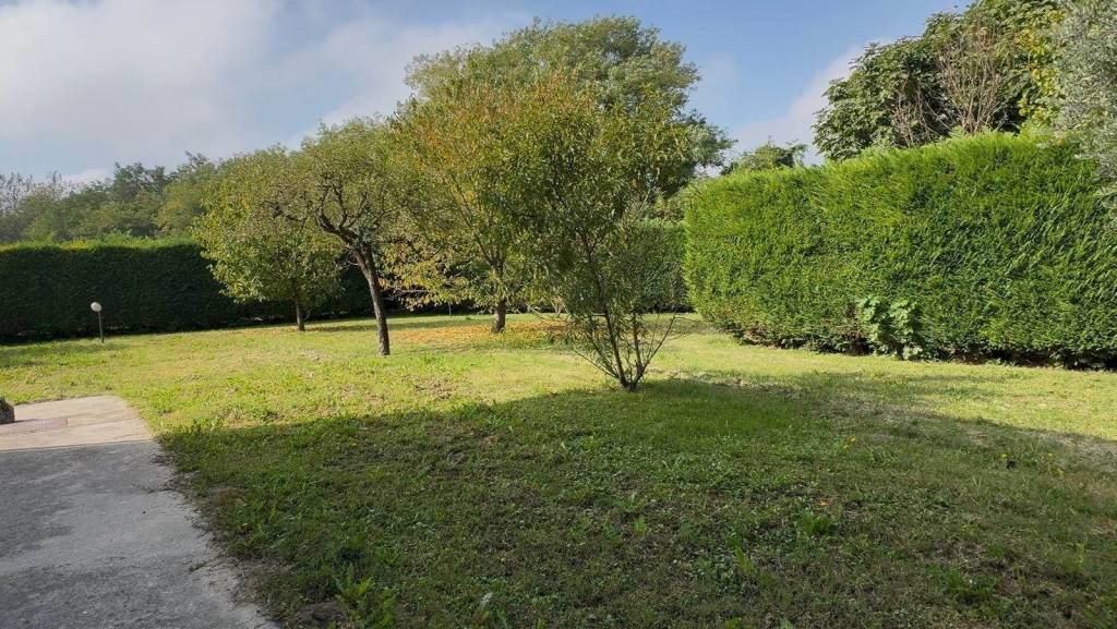 immagine annuncio 3 di 7