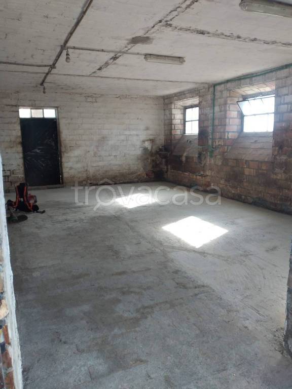 immagine annuncio 6 di 14