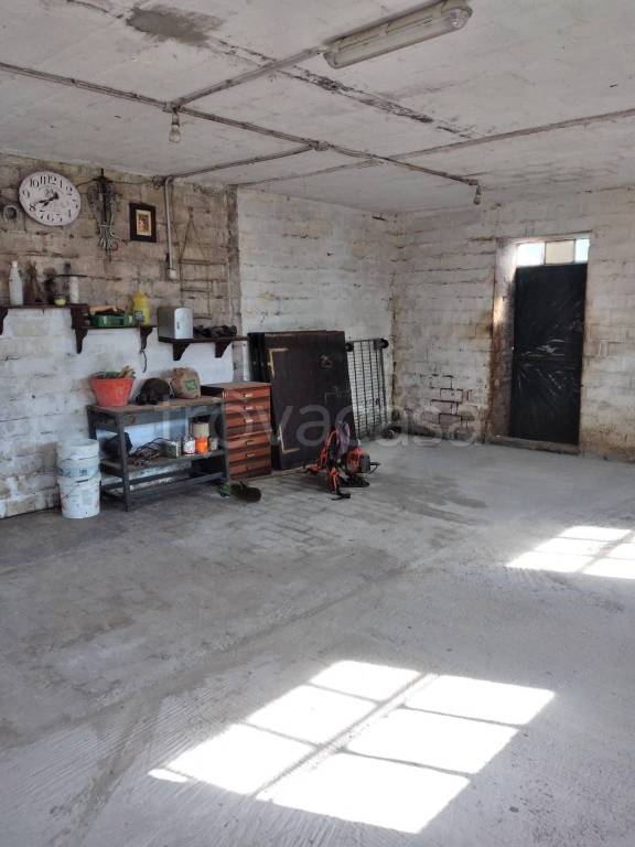 immagine annuncio 7 di 14