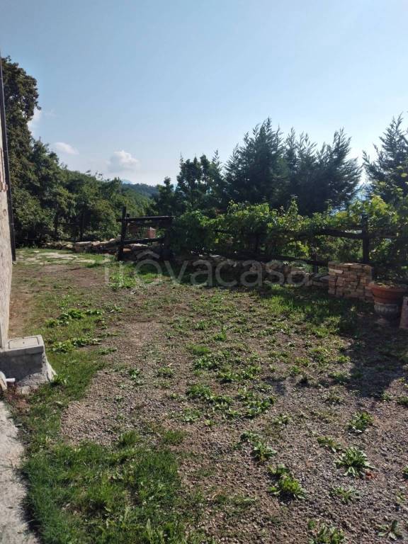 immagine annuncio 9 di 14