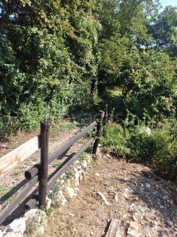 immagine annuncio 11 di 14