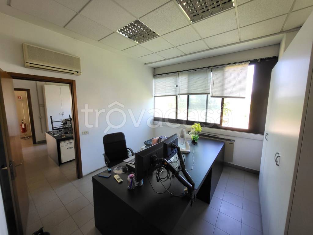 immagine annuncio 7 di 11