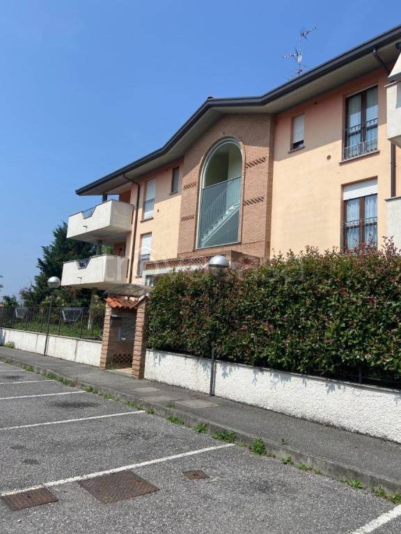 immagine annuncio 2 di 12