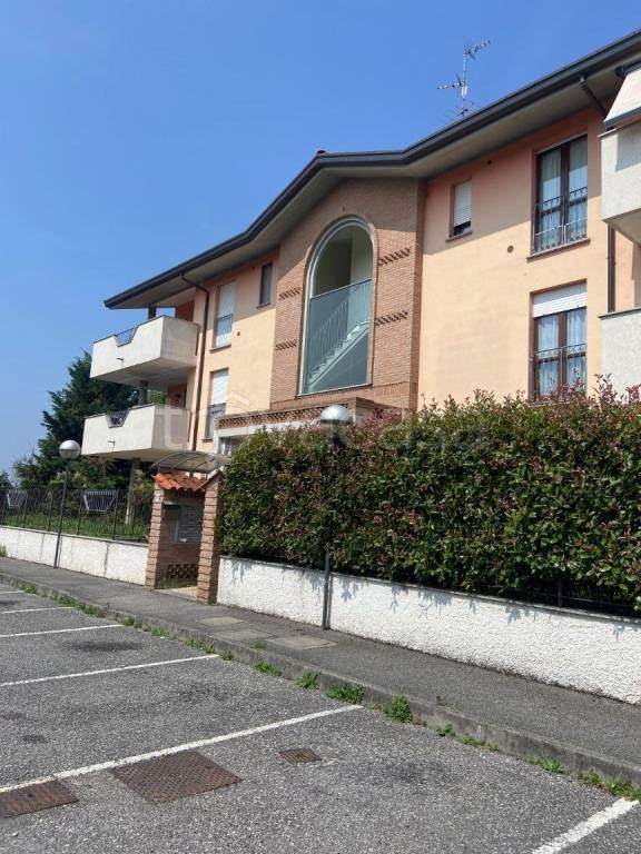 immagine annuncio 3 di 12