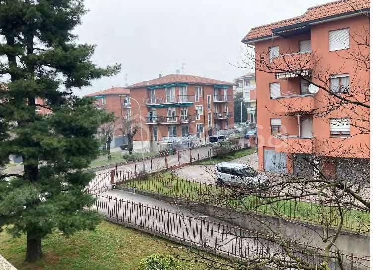 immagine annuncio 11 di 14