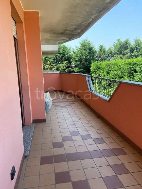 immagine annuncio 10 di 12