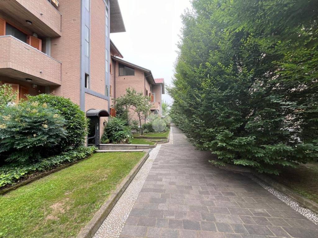 immagine annuncio 13 di 15