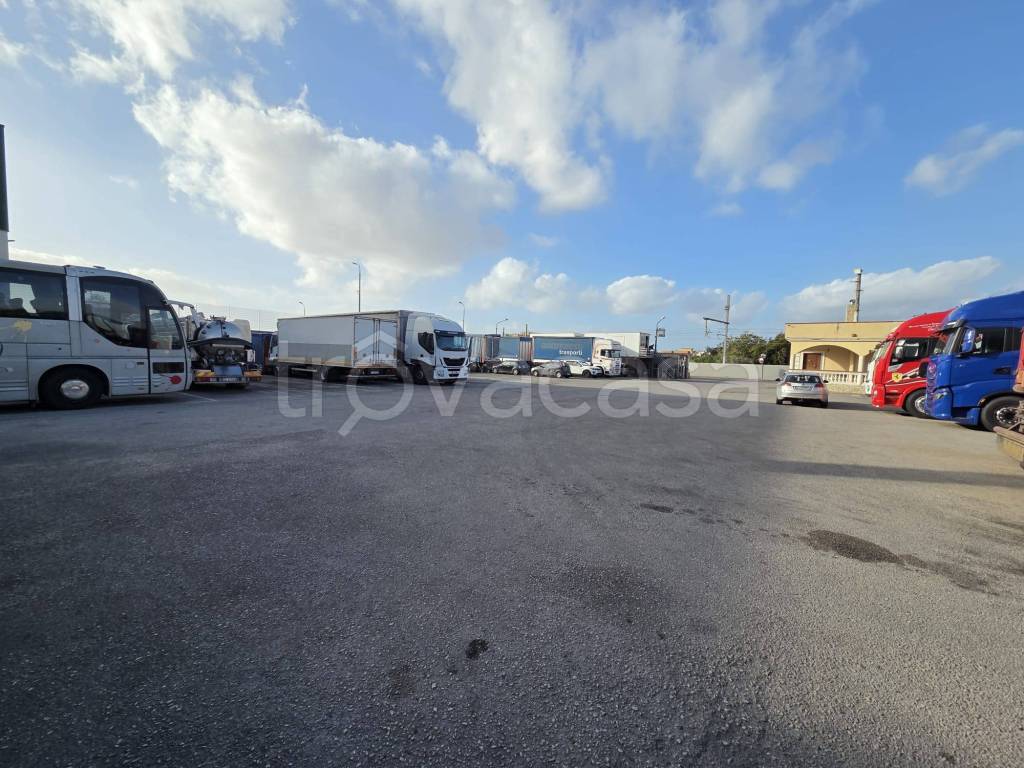 immagine annuncio 3 di 11