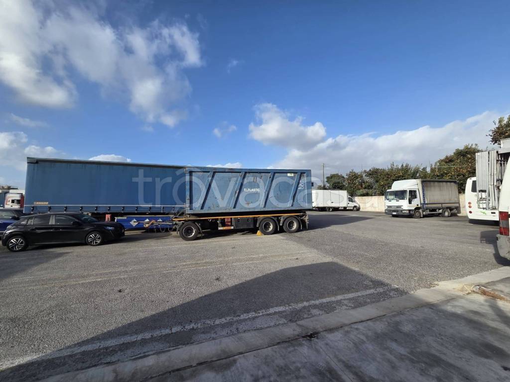 immagine annuncio 5 di 11