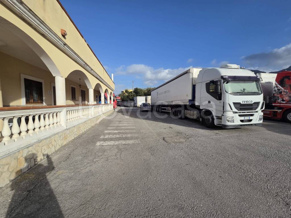 immagine annuncio 9 di 11