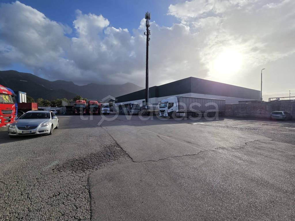 immagine annuncio 10 di 11