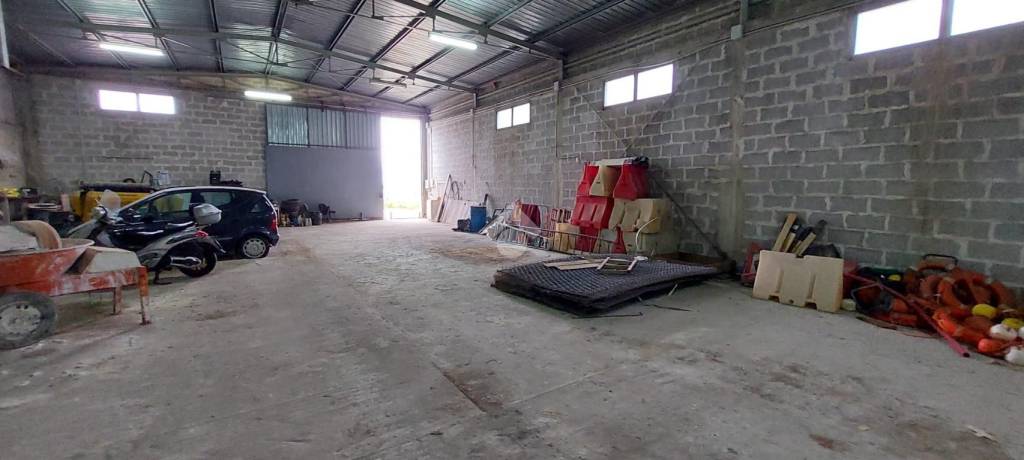 immagine annuncio 2 di 12