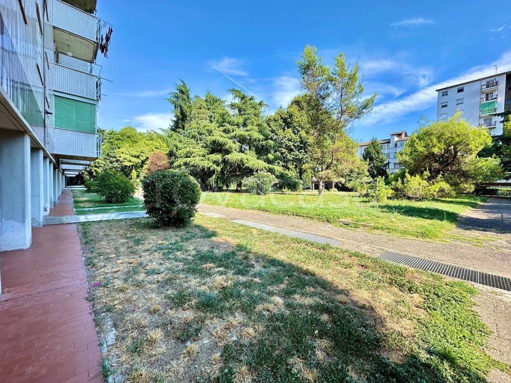 immagine annuncio 1 di 14