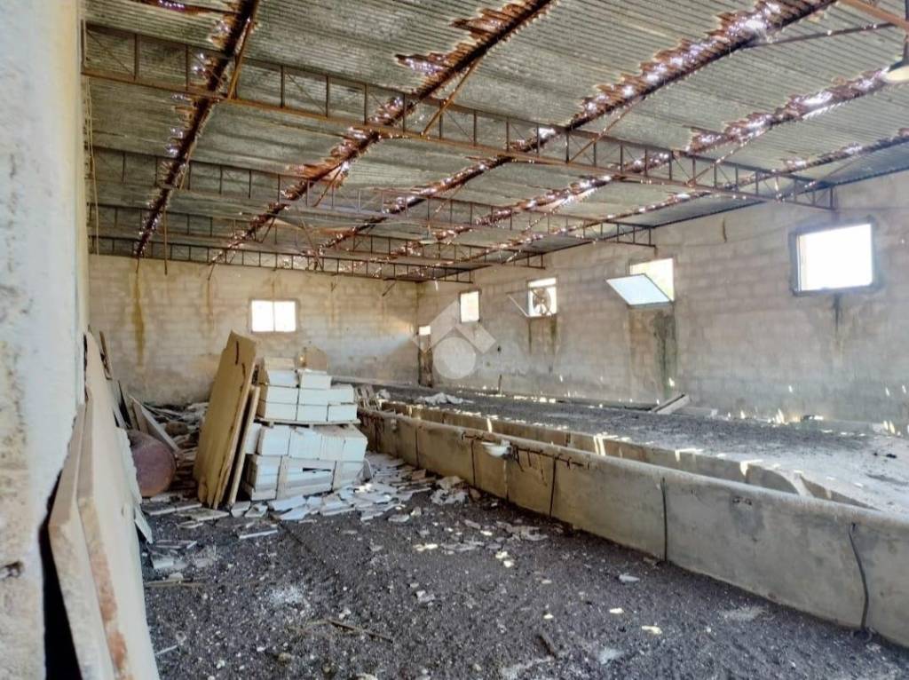 immagine annuncio 3 di 4