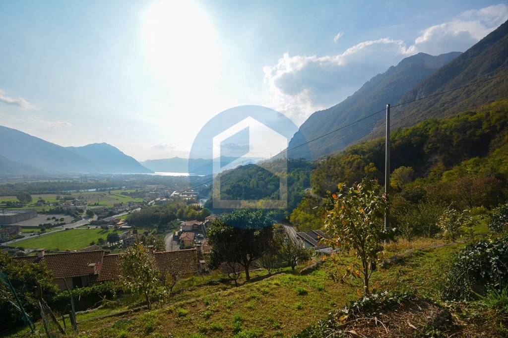 immagine annuncio 9 di 14