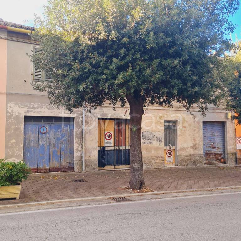 immagine annuncio 3 di 6