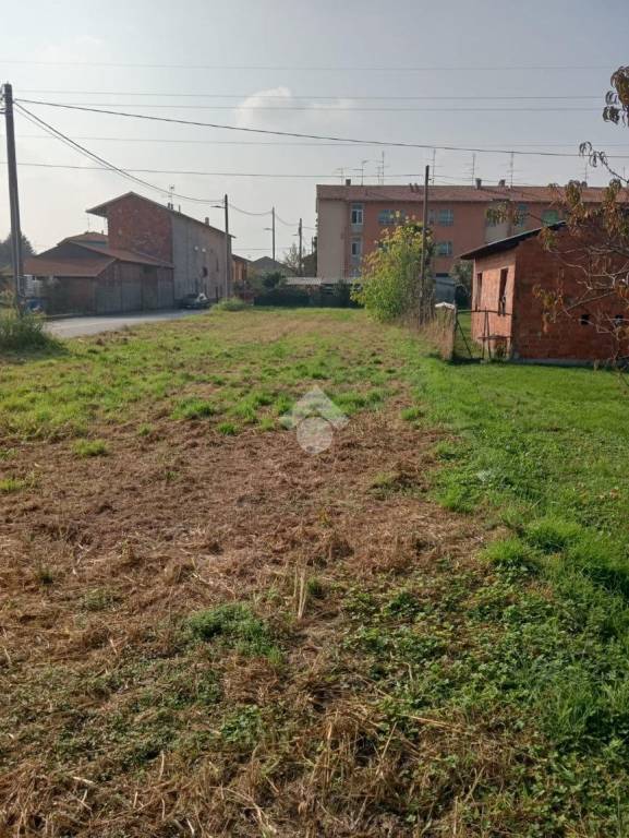 immagine annuncio 4 di 6