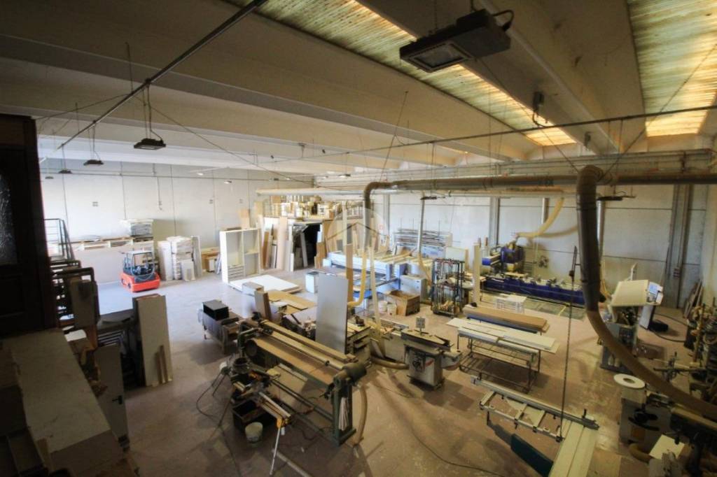 immagine annuncio 2 di 12