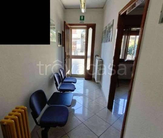 immagine annuncio 2 di 6