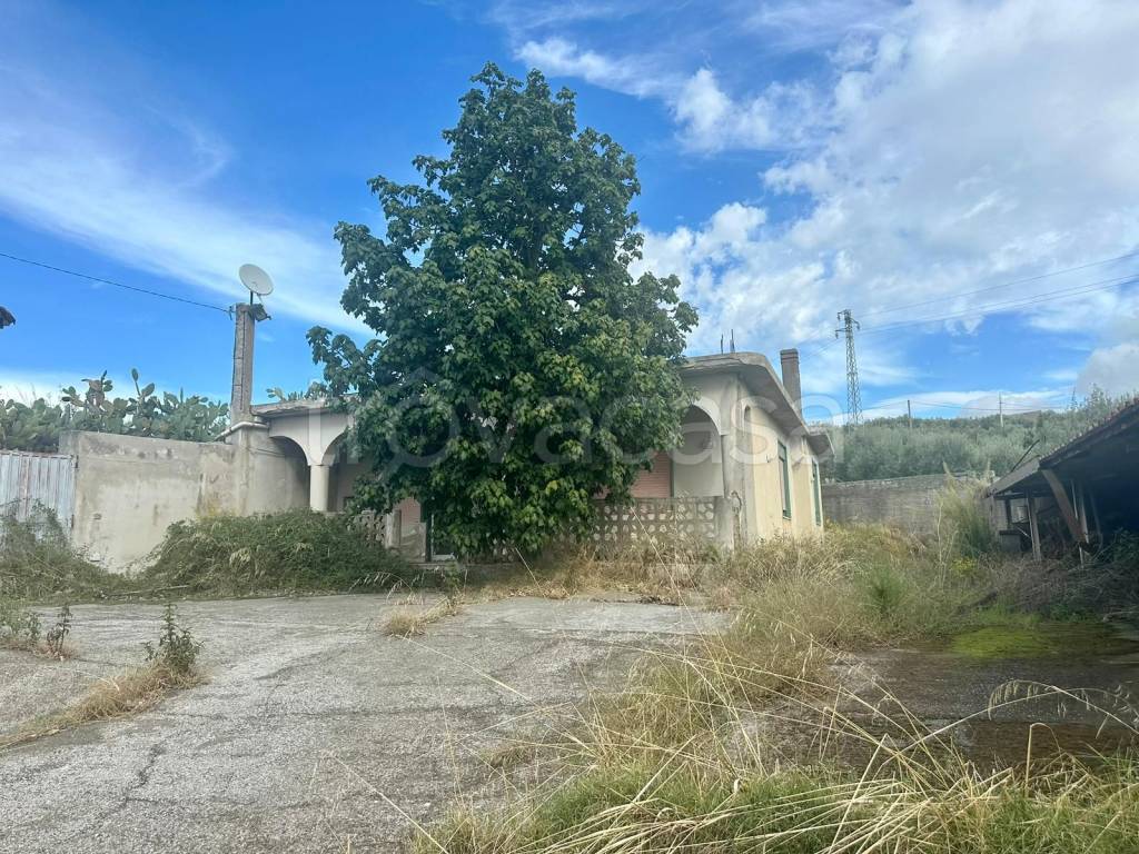 immagine annuncio 6 di 8