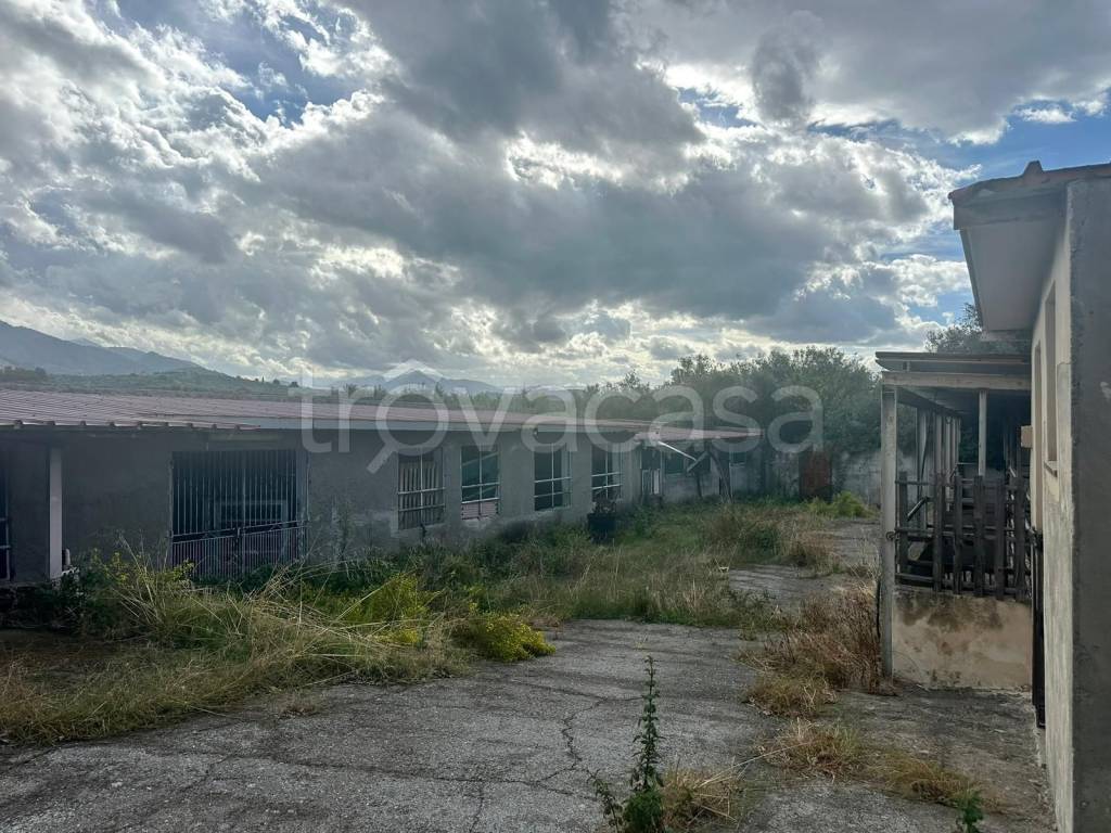 immagine annuncio 3 di 8