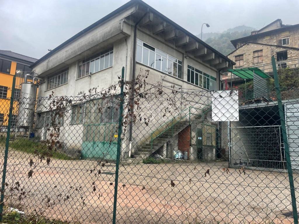 immagine annuncio 1 di 6