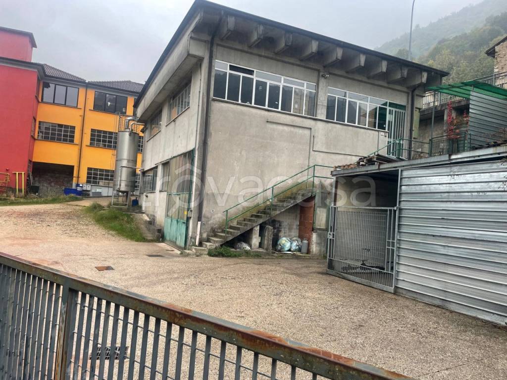 immagine annuncio 4 di 6