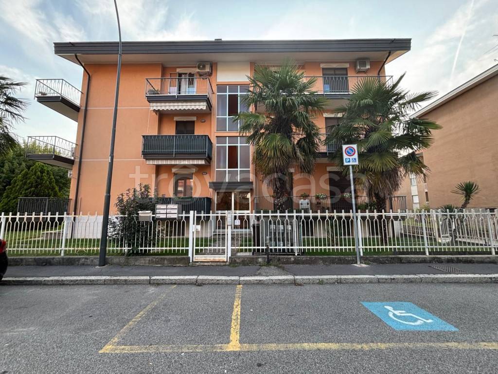 immagine annuncio 9 di 11