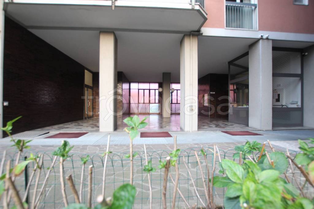 immagine annuncio 7 di 11