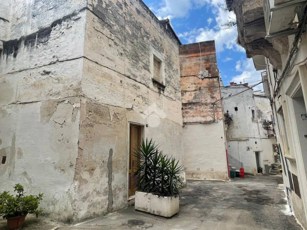 immagine annuncio 10 di 14