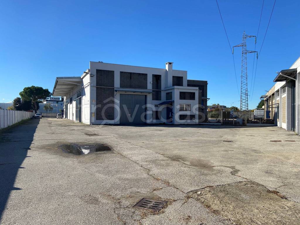 immagine annuncio 13 di 15