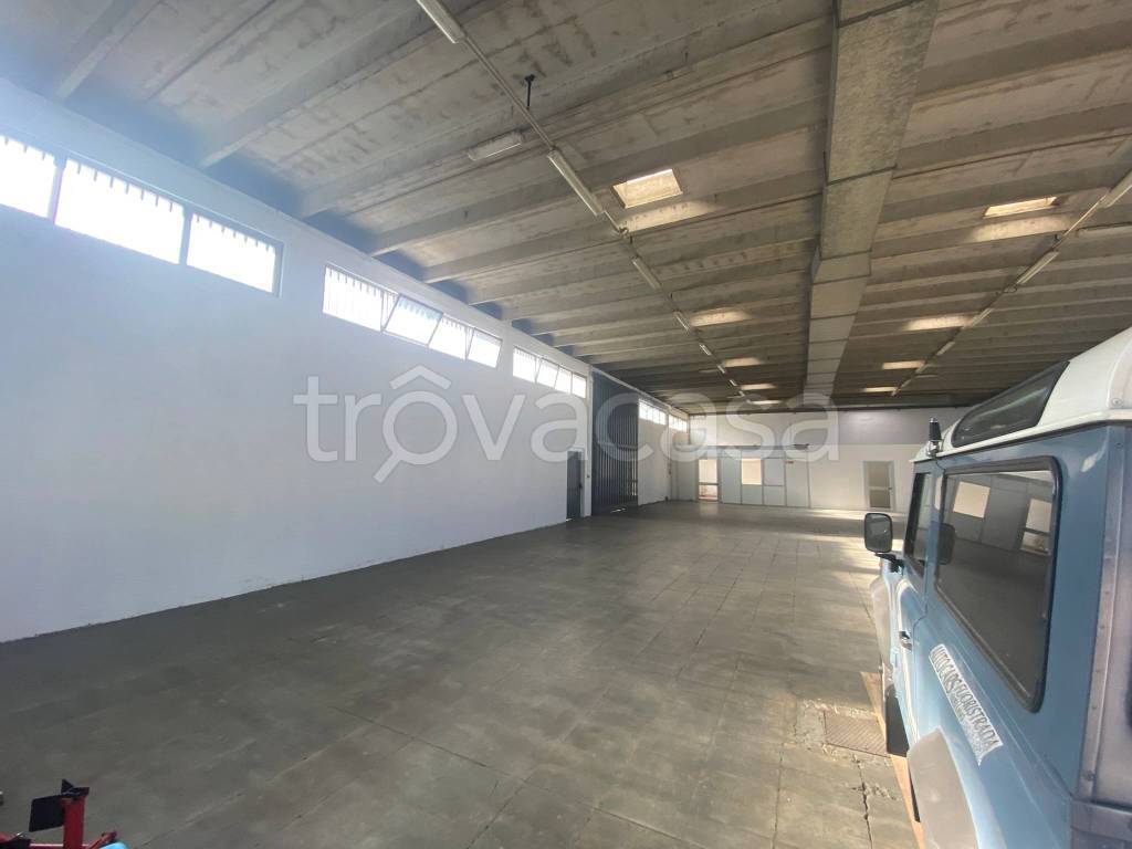 immagine annuncio 13 di 15