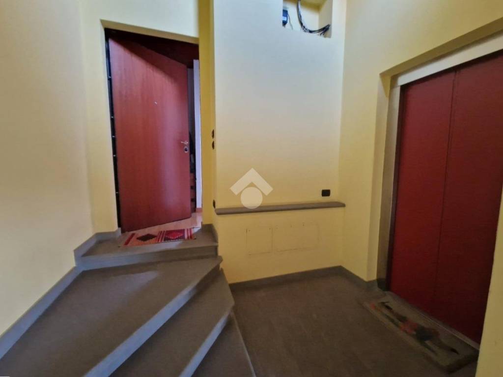 immagine annuncio 12 di 14