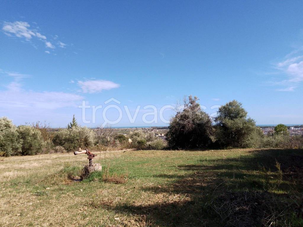 immagine annuncio 7 di 12