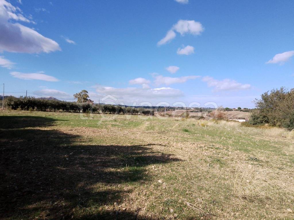 immagine annuncio 8 di 12