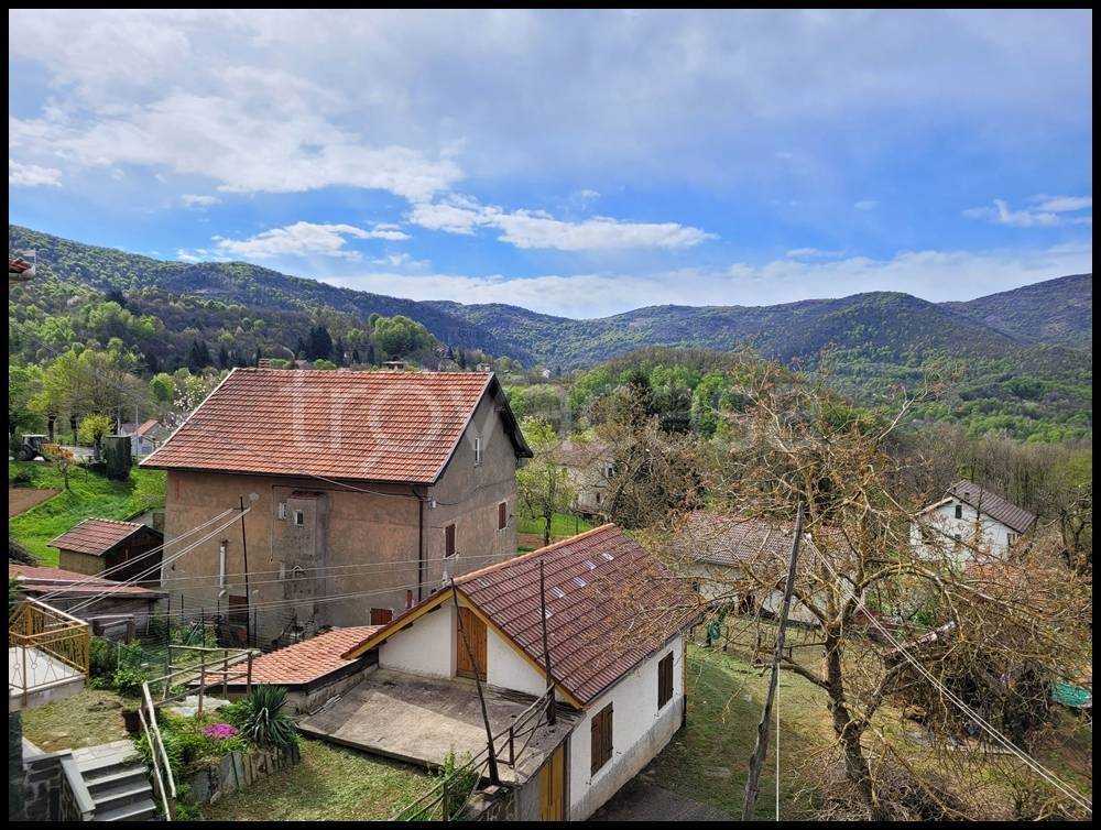 immagine annuncio 9 di 12