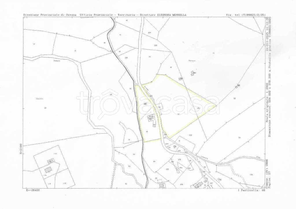 immagine annuncio 14 di 15