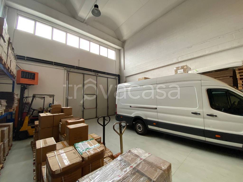 immagine annuncio 11 di 15