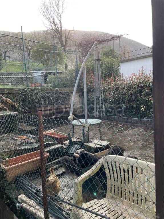 immagine annuncio 8 di 11