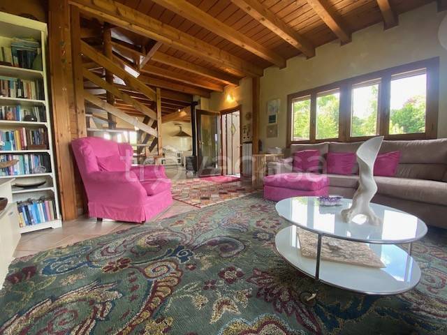 immagine annuncio 12 di 14