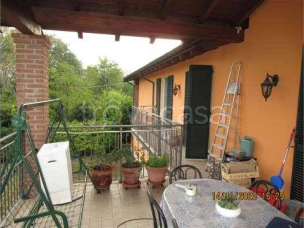 immagine annuncio 9 di 15