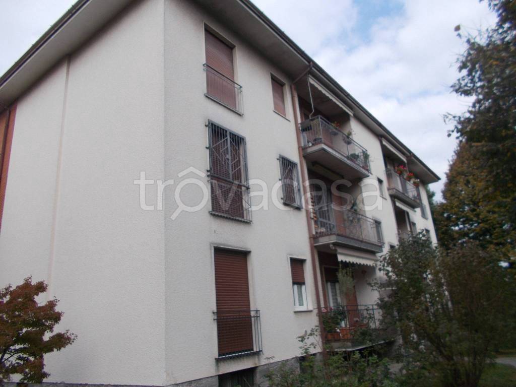 immagine annuncio 2 di 14