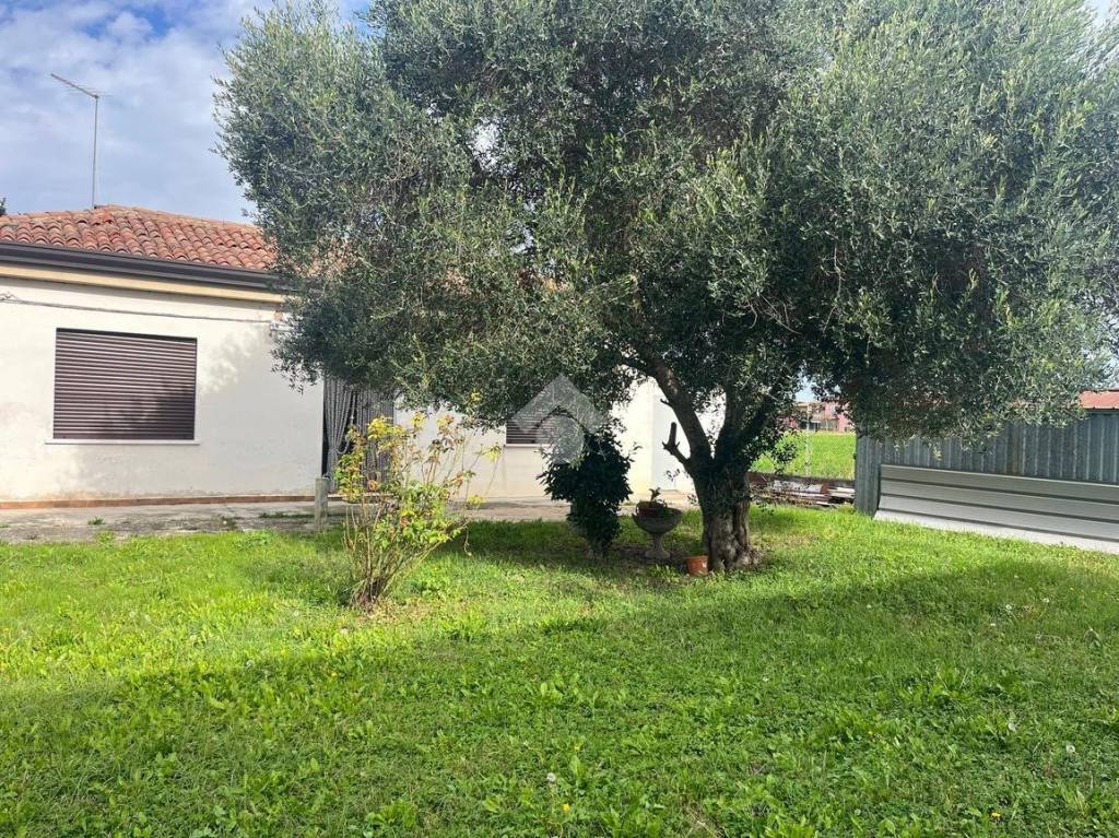 immagine annuncio 4 di 12