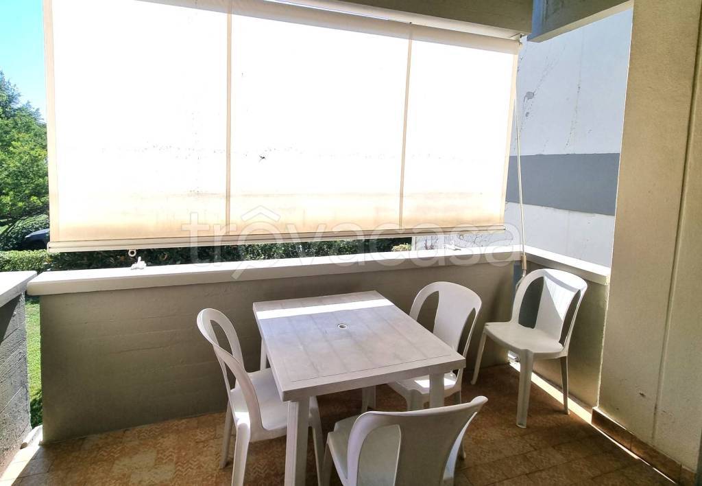 immagine annuncio 5 di 14