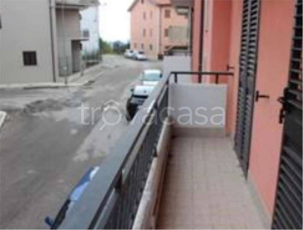 immagine annuncio 12 di 14