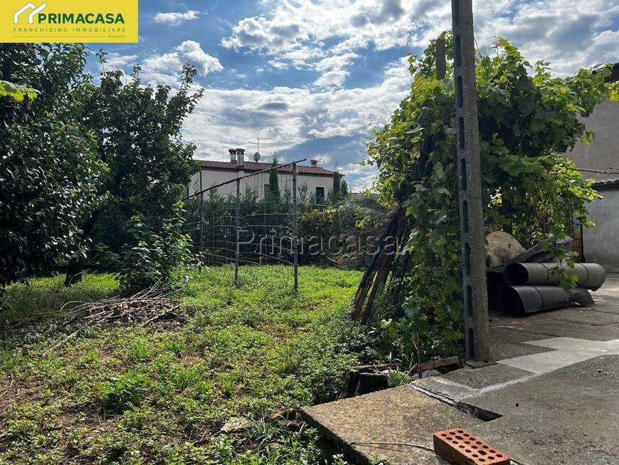 immagine annuncio 9 di 11