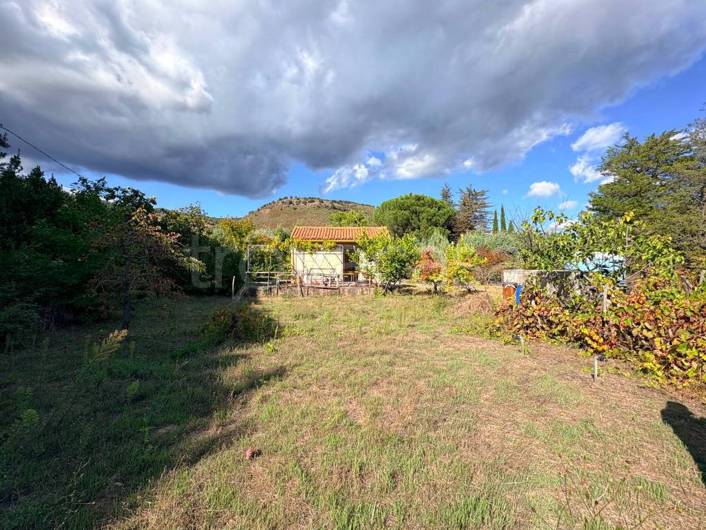 immagine annuncio 10 di 11