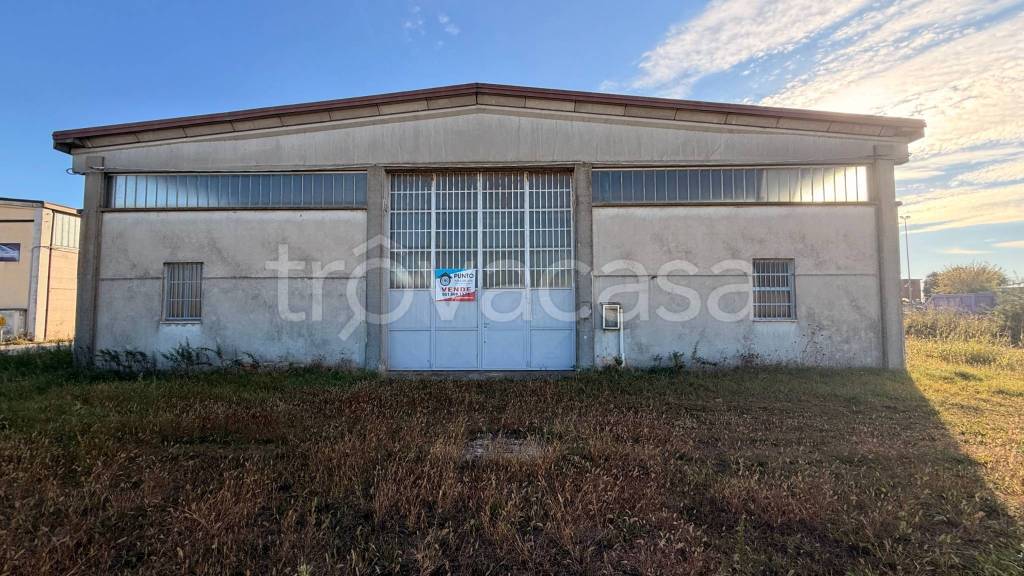 immagine annuncio 9 di 15